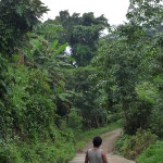 D3 - Cacao Jungle Trip, Guatemala - Sept 10, 2015 (106)