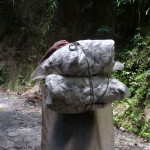 D3 - Cacao Jungle Trip, Guatemala - Sept 10, 2015 (43)