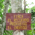 D3 - Cacao Jungle Trip, Guatemala - Sept 10, 2015 (44)