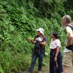 D3 - Cacao Jungle Trip, Guatemala - Sept 10, 2015 (47)