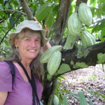 D3 - Cacao Jungle Trip, Guatemala - Sept 10, 2015 (60)