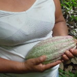 D3 - Cacao Jungle Trip, Guatemala - Sept 10, 2015 (78)