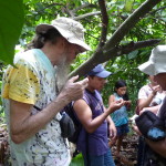 D3 - Cacao Jungle Trip, Guatemala - Sept 10, 2015 (87)