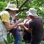 D3 - Cacao Jungle Trip, Guatemala - Sept 10, 2015 (88)