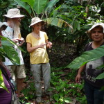 D3 - Cacao Jungle Trip, Guatemala - Sept 10, 2015 (91)