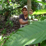 D3 - Cacao Jungle Trip, Guatemala - Sept 10, 2015 (92)