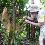 D3 - Cacao Jungle Trip, Guatemala - Sept 10, 2015 (95)